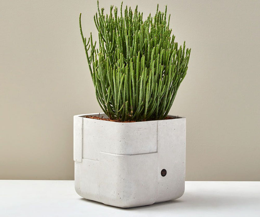 Aarde Planter Collection Indigenus