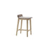 Laia Counter/Bar Stool Alki