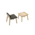 Laia Lounge Chair Alki