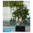 High end Land Planters by Vondom Casa Design