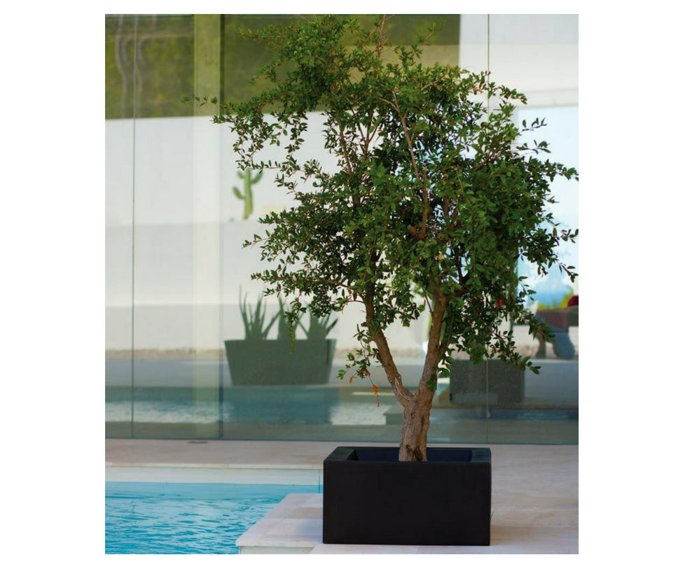 High end Land Planters by Vondom Casa Design
