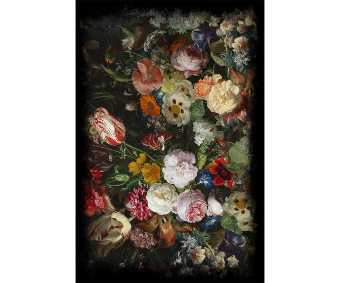 Eden Queen Broadloom Rug Moooi