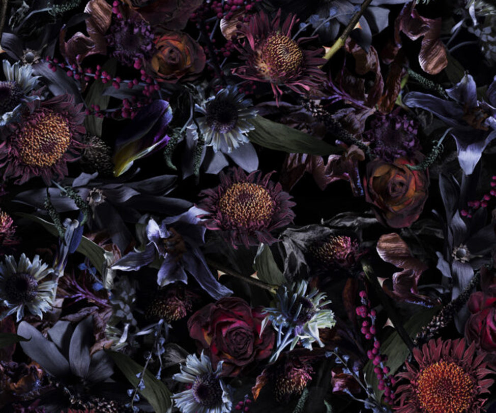 Fool’s Paradise Broadloom Moooi