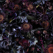 Fool’s Paradise Broadloom Rug Moooi