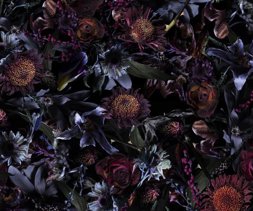 Fool’s Paradise Broadloom Rug Moooi