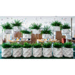 High end Marquis Planters by Vondom Casa Design