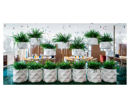 High end Marquis Hanging Planter by Vondom Casa Design