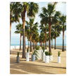 High end Marquis Planters by Vondom Casa Design