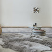Cozy Rug Limited Edition 