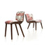 Nut Dining Chair Moooi
