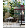 New York Soleil Dining Chair Saba