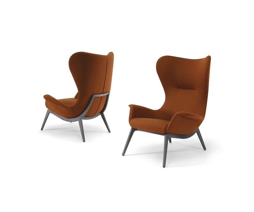 Nirvana Armchair | Torro 1961