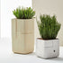 Aarde Planter Collection Indigenus