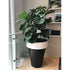 De Castelli Omega 90 Planter