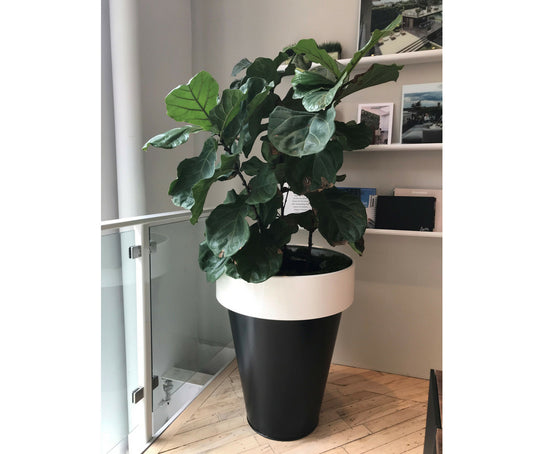 De Castelli Omega 90 Planter