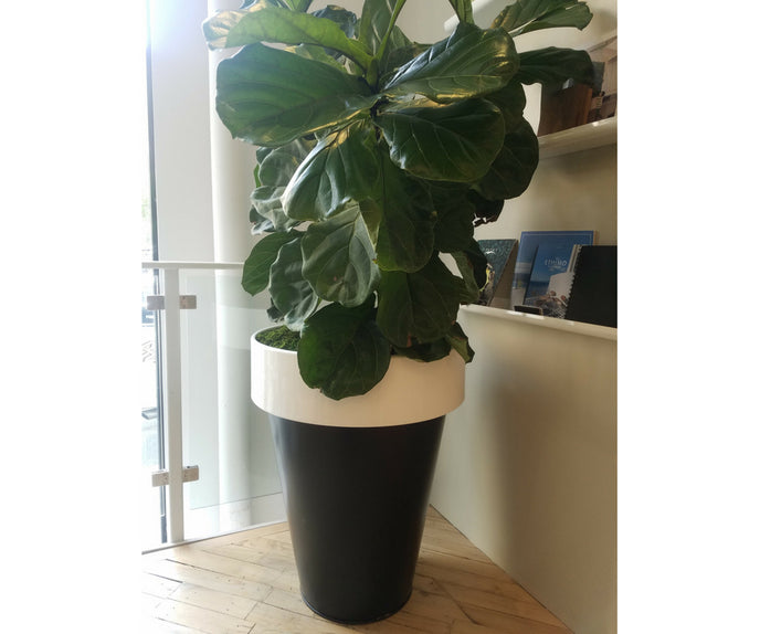De Castelli Omega 90 Planter