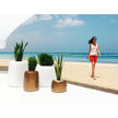 Organic High Square Planters