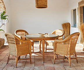 Alga Dining Armchair I Point 1920