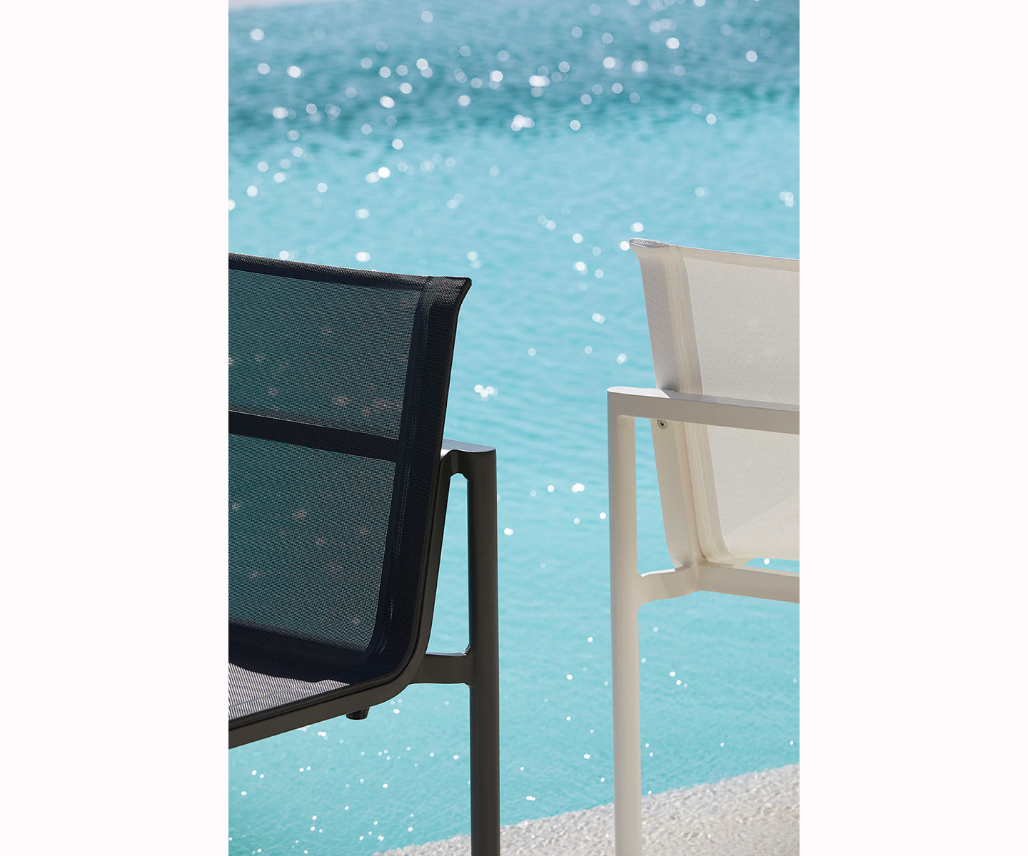 Origin Dining Chair I Point 1920 I Casa Design Group