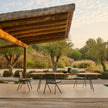 Branch Armchair | Tribù