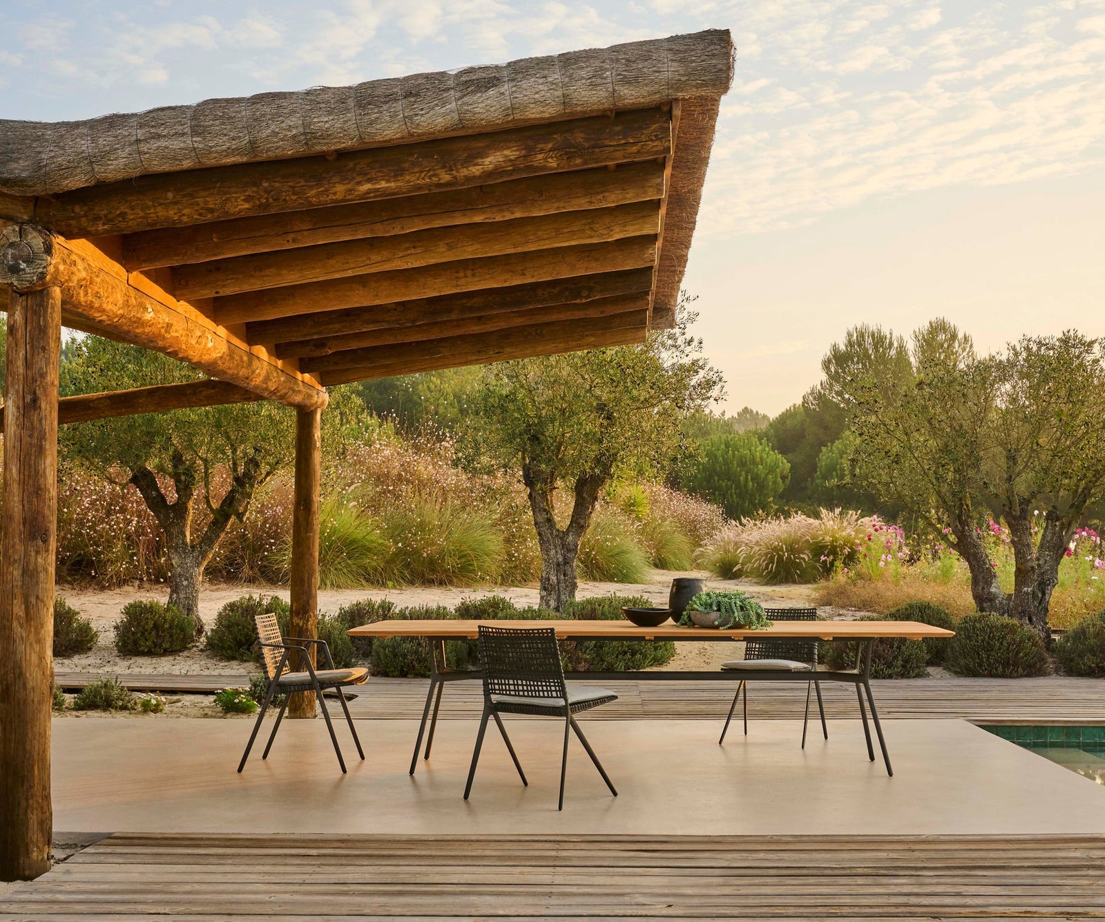 Branch Armchair | Tribù