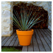 High end Maceteros Planters by Vondom Casa Design
