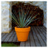 High end Maceteros Planters by Vondom Casa Design