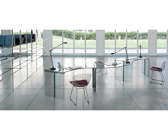 President Junior Desk Gallotti&Radice