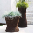 Bush On Planters | Roda