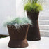 Bush On Planters | Roda