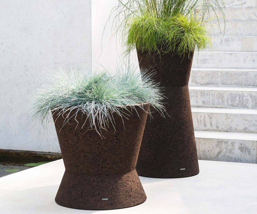 Bush On Planters | Roda