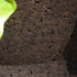 Bush On Planters | Roda