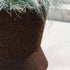 Bush On Planters | Roda