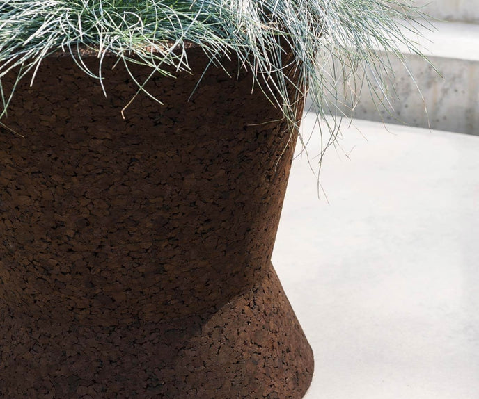 Bush On Planters | Roda