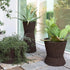 Bush On Planters | Roda