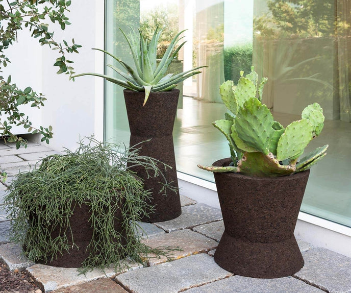 Bush On Planters | Roda