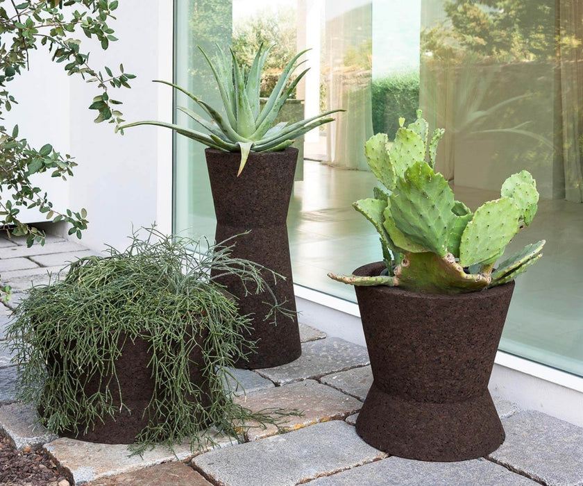 Bush On Planters | Roda