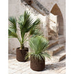 Cortica Planters | Roda