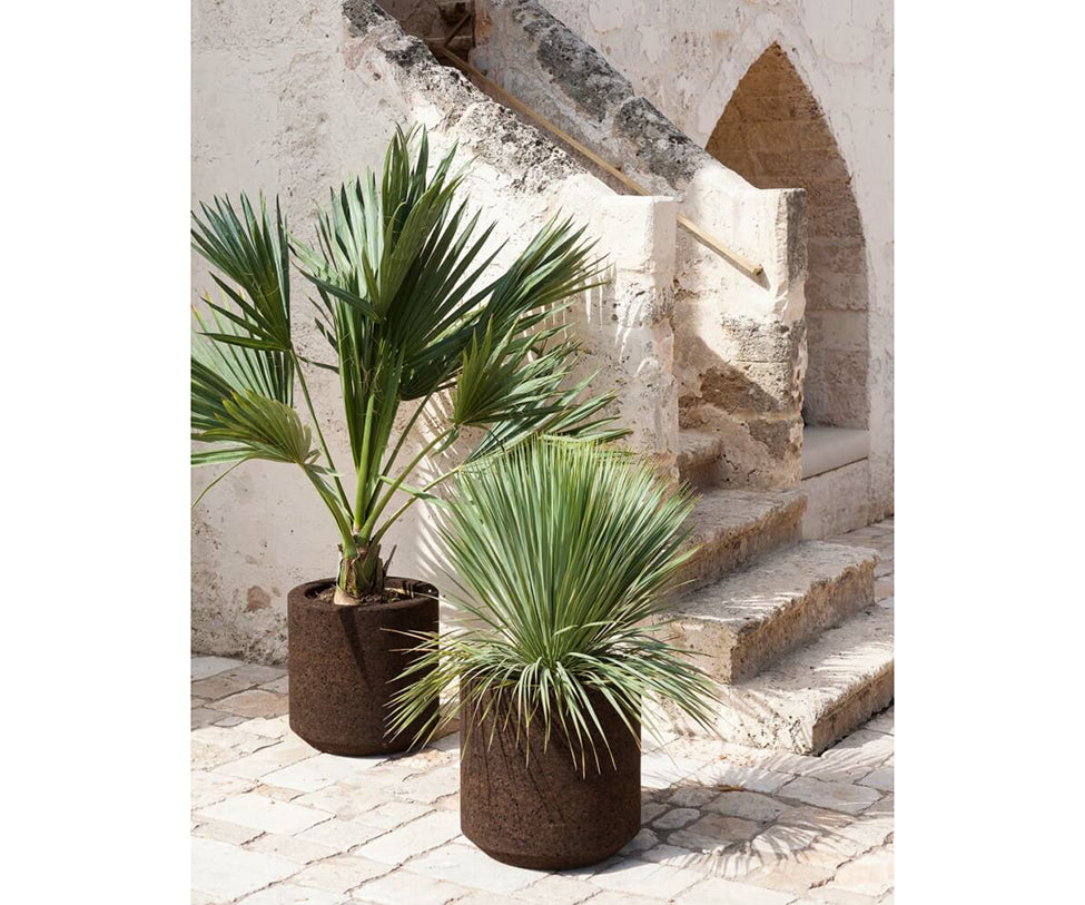 Cortica Planters | Roda