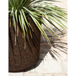 Cortica Planters | Roda