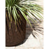 Cortica Planters | Roda