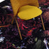 Fool’s Paradise Rug Moooi