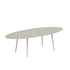 Styletto Counter Height Oval Table | Royal Botania