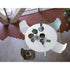 High end Sharky Dining Chair by Kristalia Casa Design