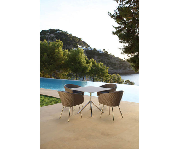 High end Shell Dining Chair by Fueradentro Casa Design