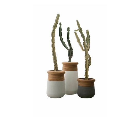 High end Soma Planters by Indigenus Casa Design