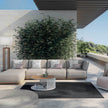 Switch Set Sofa Atmosphera