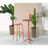 High end Trick Bar Stool by Scab Design Casa Design