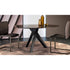 Trilope Dining Table Draenert