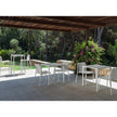 High end Trocadero Dining Armchair by Talenti Casa Design